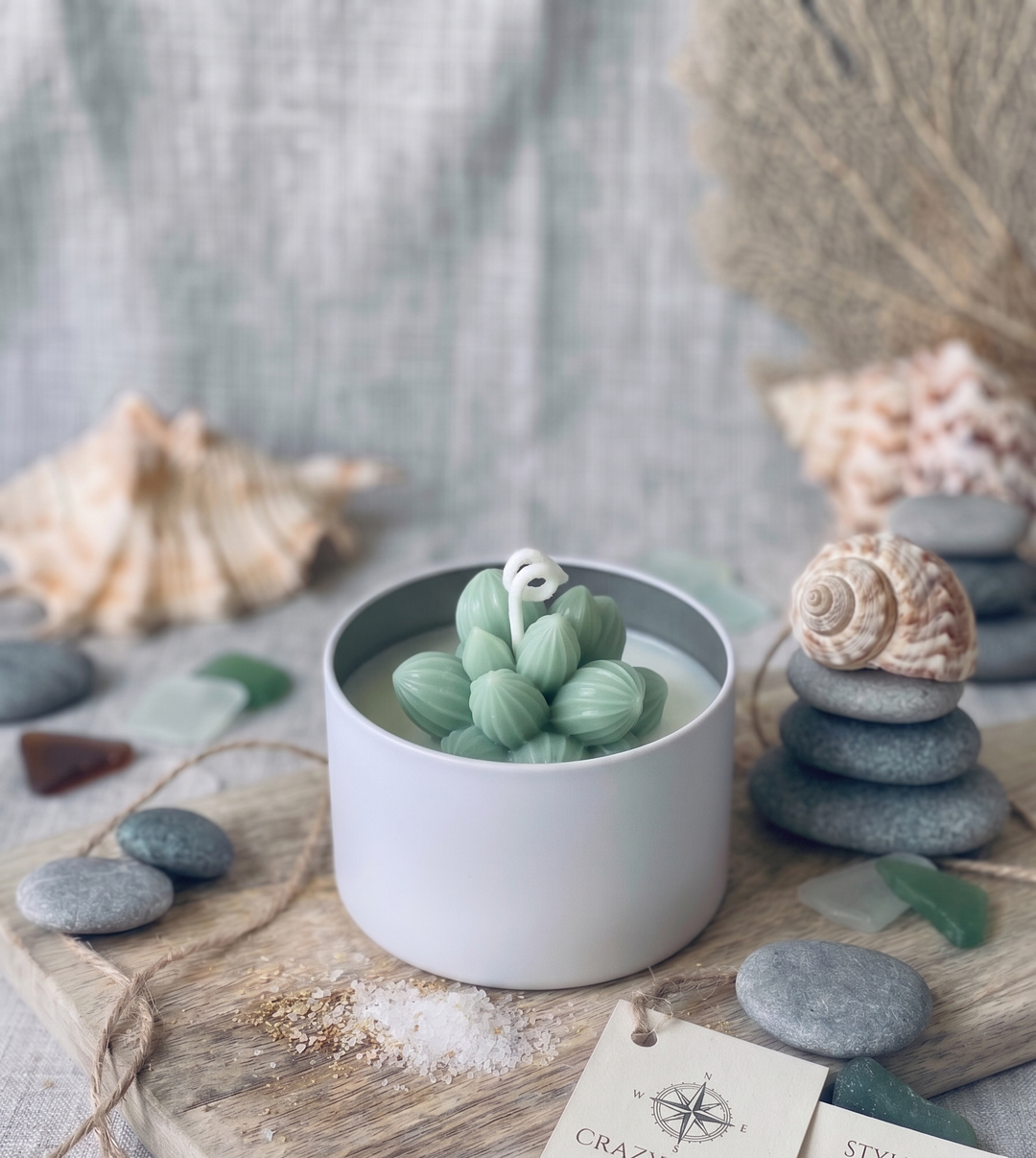 Cactus Jar Candle — Sage Cluster Succulent | Soy Wax, Handmade in USA