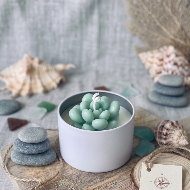 Candle shaped like a succulent plant in a white container with seashells and stones in the background.