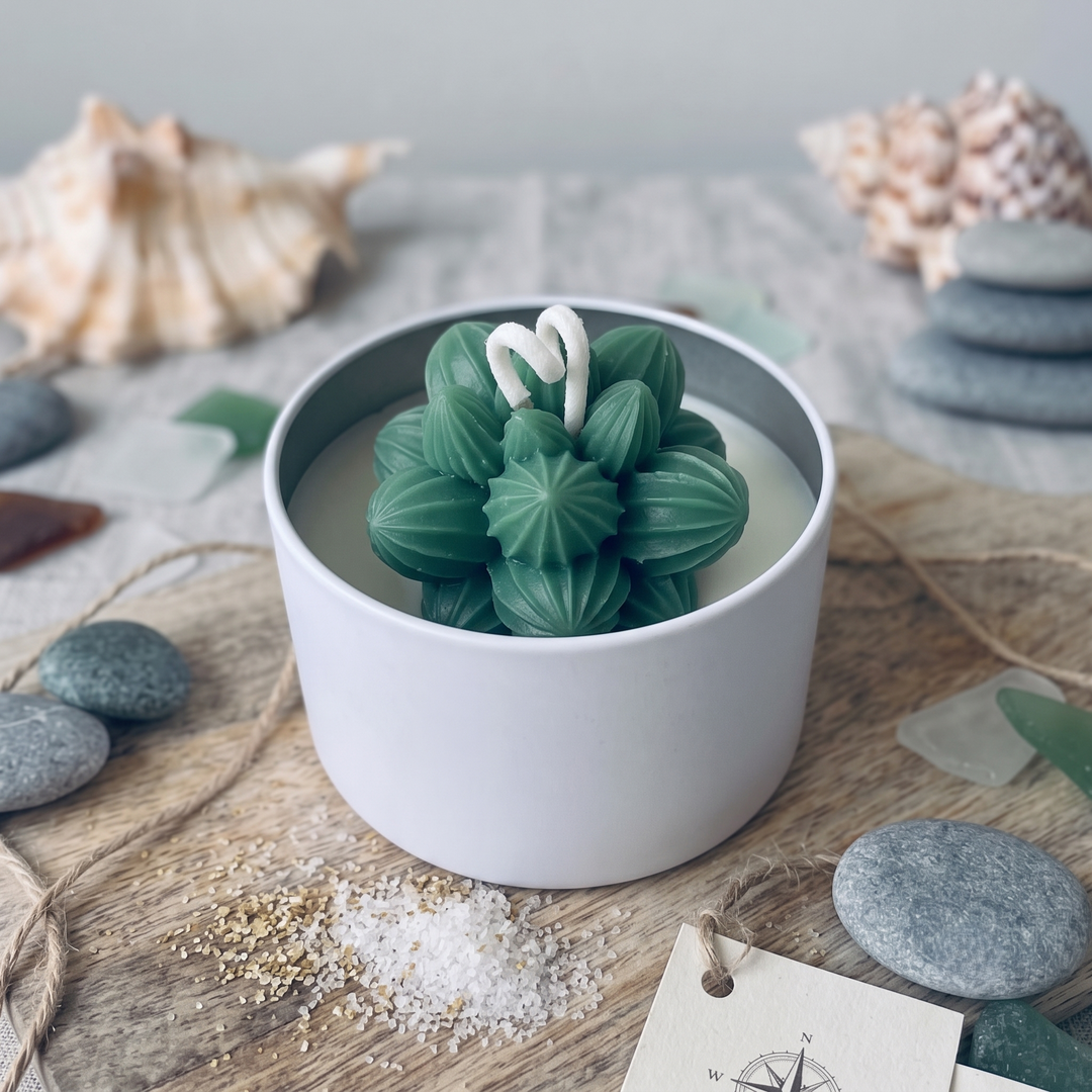 A green cactus-shaped candle in a white tin container, styled on a wooden surface with seashells, stones, and decorative elements in the background.