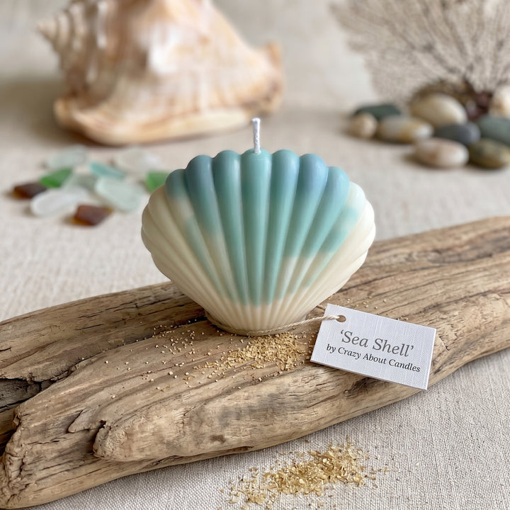 A seashell-shaped candle with a blue-green and cream gradient sits on a piece of driftwood with a small tag reading &