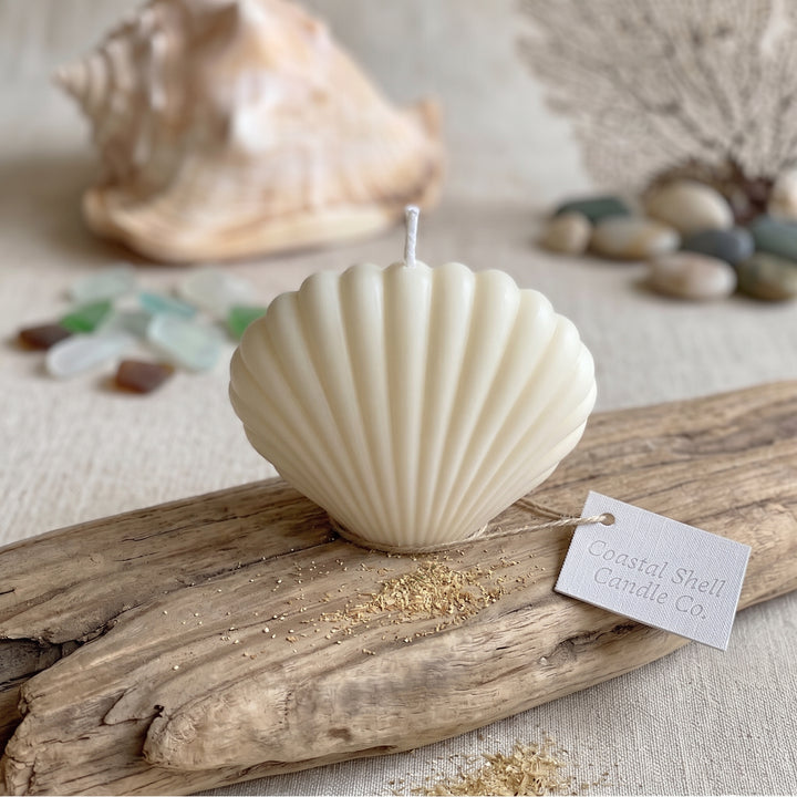 An off-white shell-shaped candle with a wick, styled on a piece of driftwood with a small tag reading &
