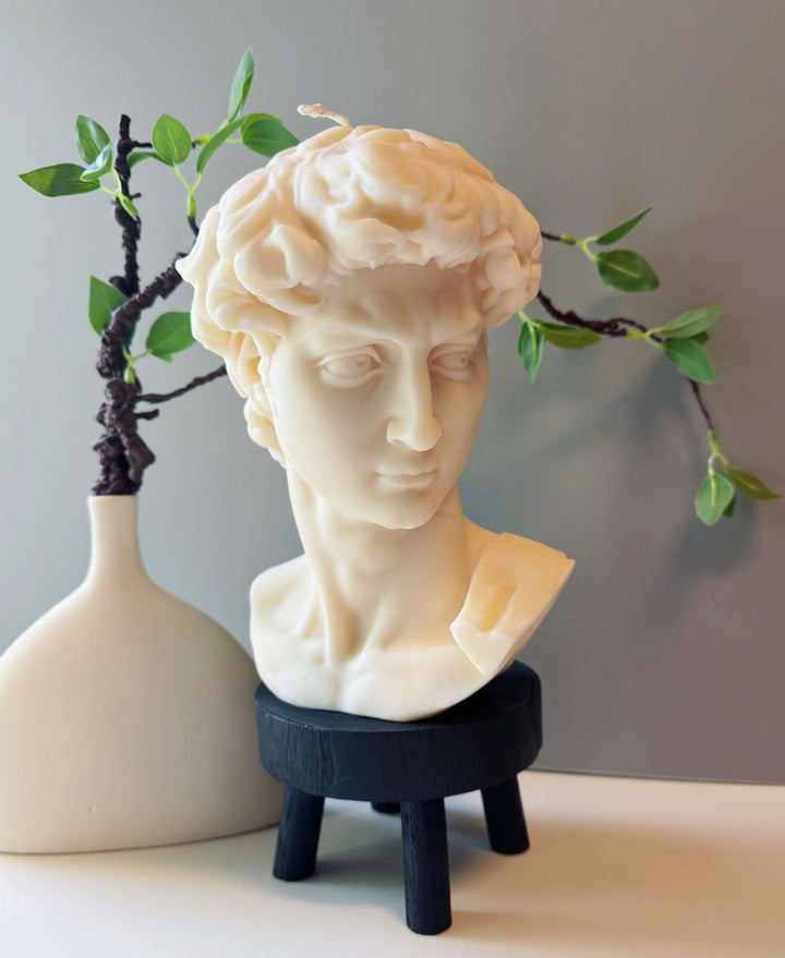 David Head Sculptural Candle in modern decor, inspired by Michelangelo's David bust, 11-inch wax candle.