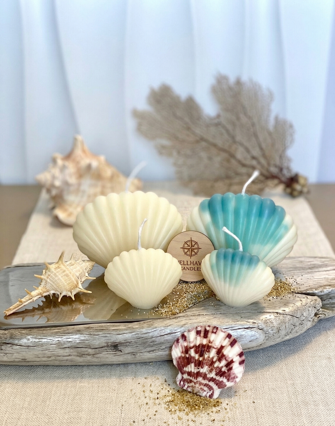 Handmade Seashell Soy Wax Candles – Coastal Décor Accent, 6 Scent Options, Clean-Burning Natural Wax, Handcrafted in USA