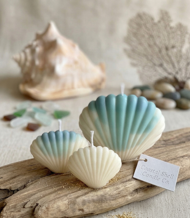 Shell Candle Set of 3 – Handmade Soy Wax Coastal Seashell Candles, Ivory &amp; Blue and White, Perfect Beach House or Wedding Gift