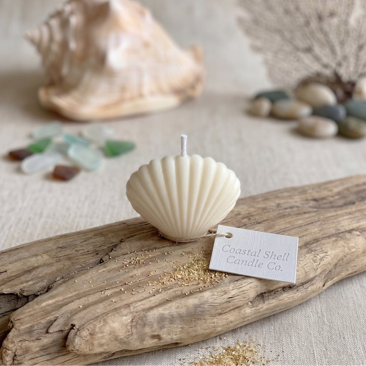 A shell-shaped candle in an off-white cream color sits on a piece of driftwood with a small paper tag reading &