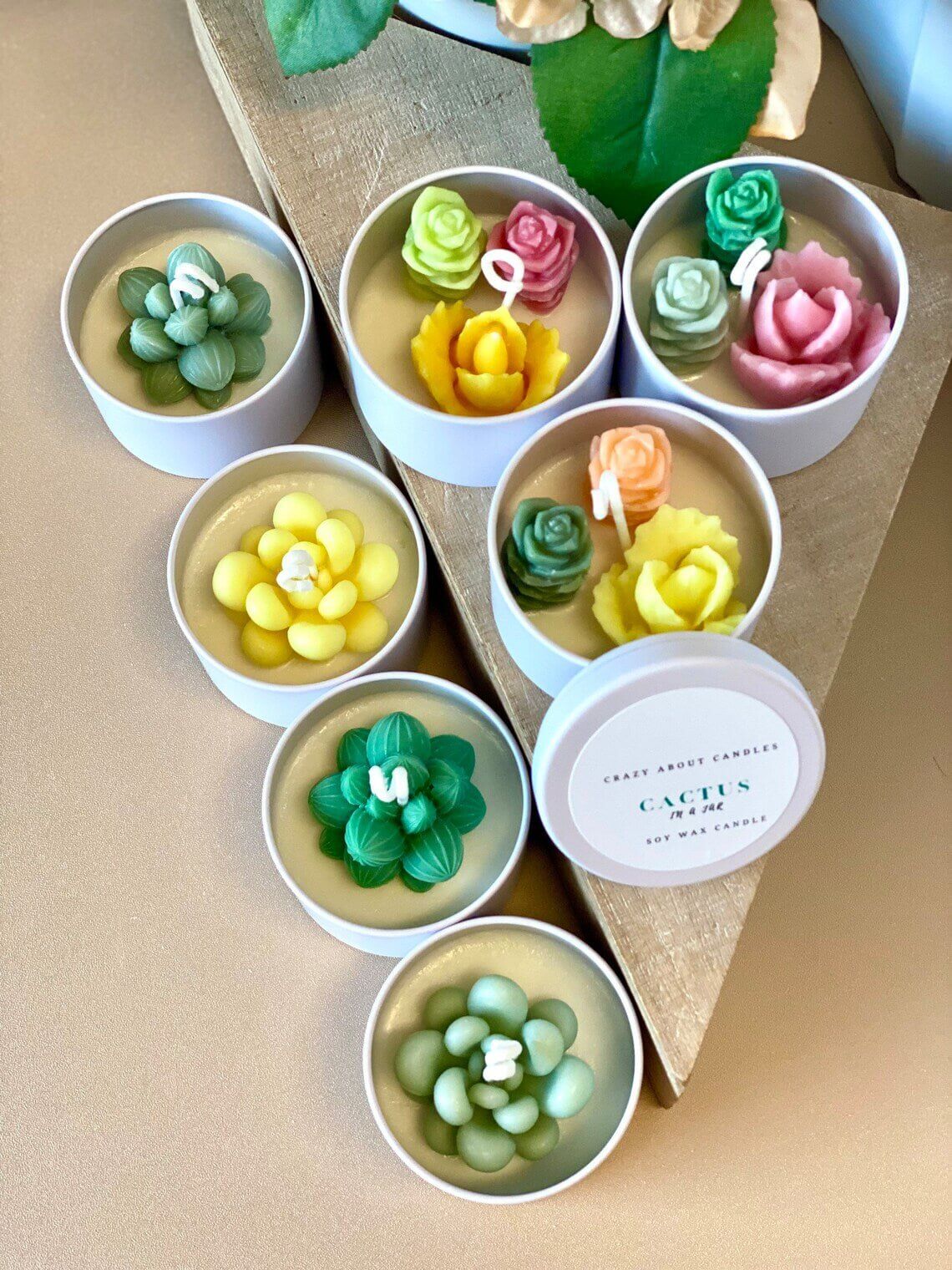 Cactus In A Jar Handmade Scented Candle – Unique Home Decor