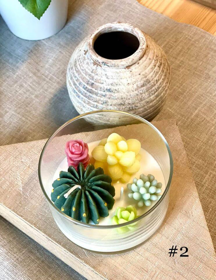 Mini garden in a candle jar