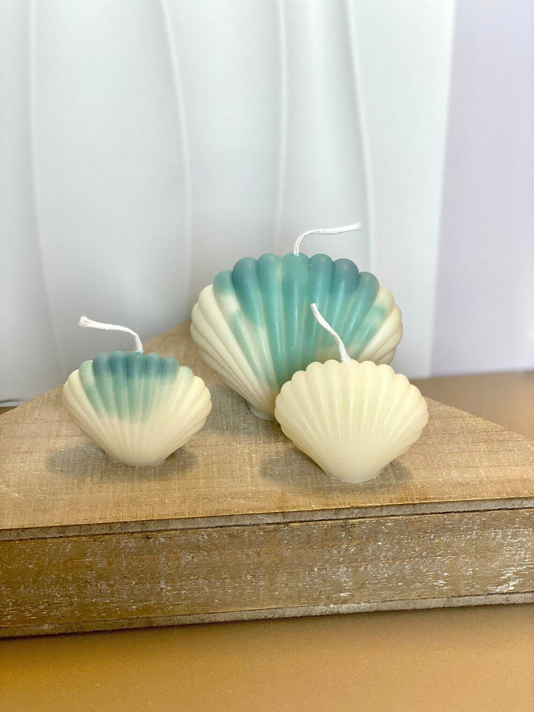 Shell Candle Handmade Handmade Soy Wax Shell Candles - Crazy About Candles