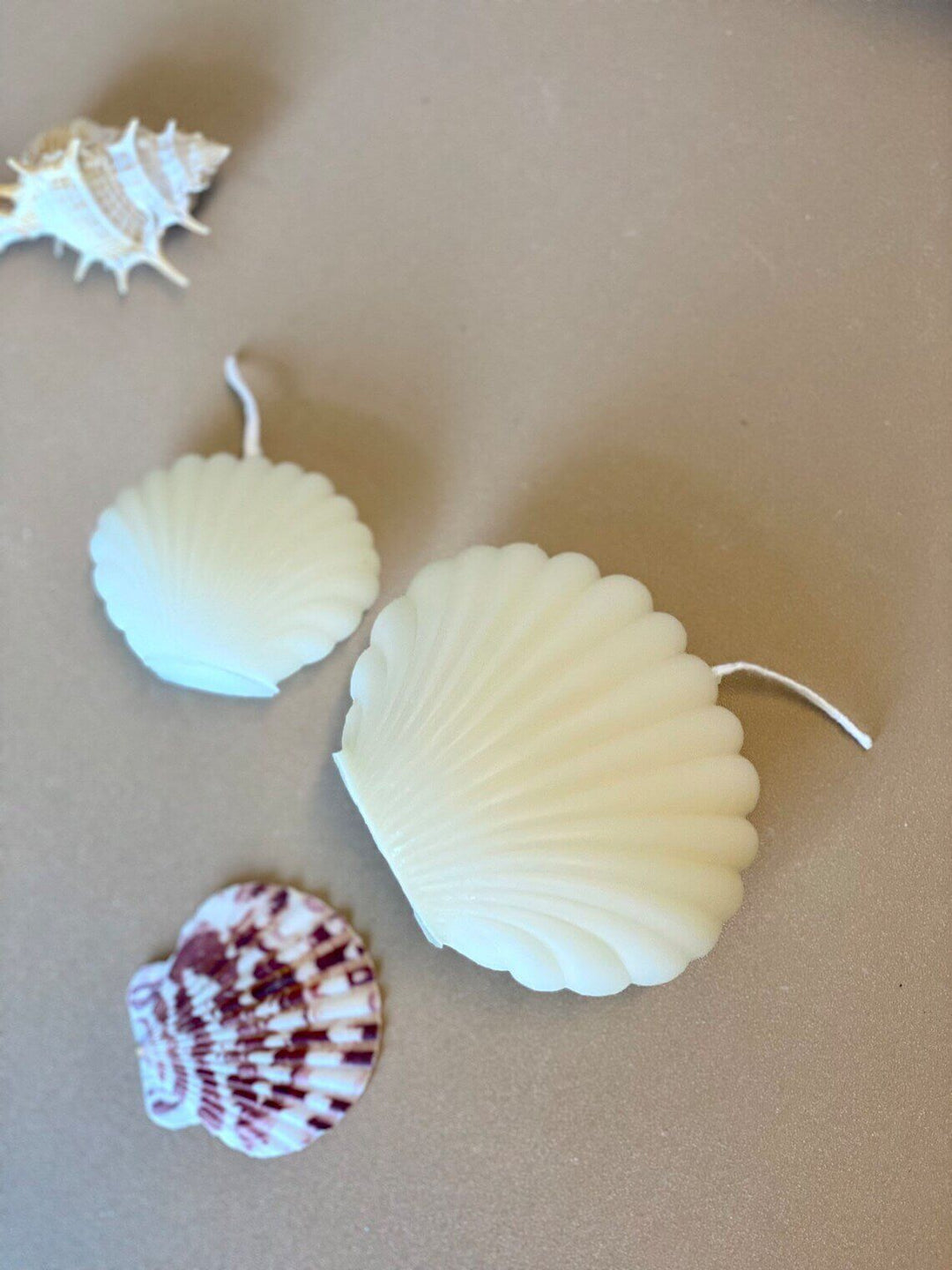 Handmade Soy Wax Candles – Shell Design for Coastal and Beachy Vibes
