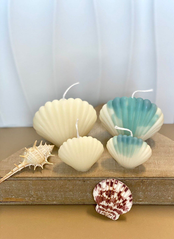 Handmade Soy Wax Shell Candles – Coastal-Inspired Home Decor