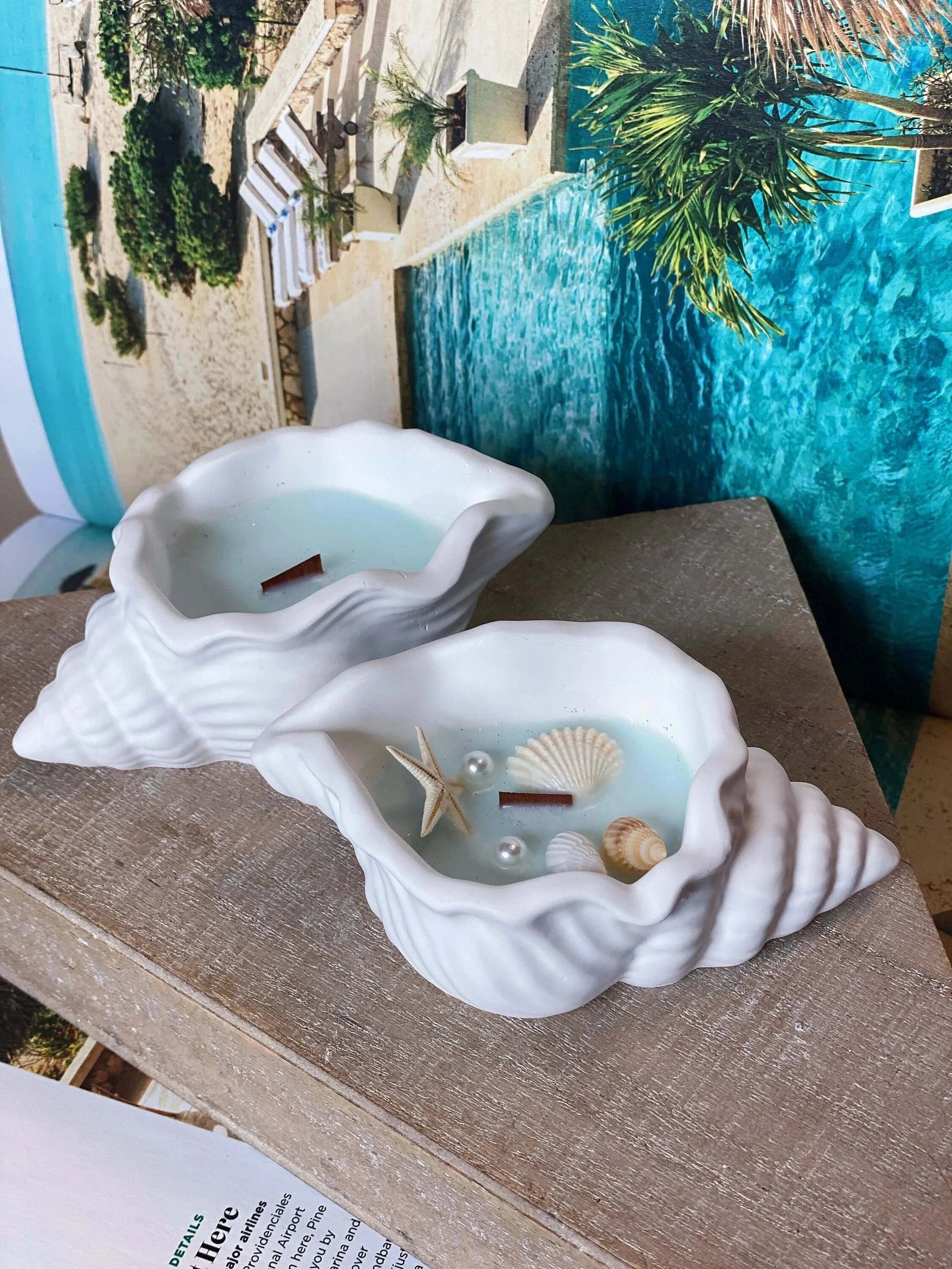 Jesmonite Shell Candle – Ocean’s Whisper Scent for a Coastal Vibe
